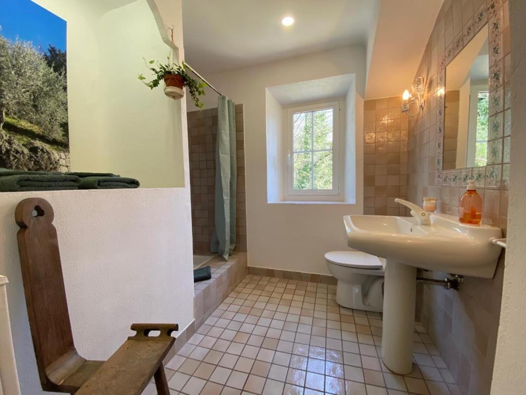 Mas Bella Vida - Chambres D'Hotes Puget-Théniers Kültér fotó